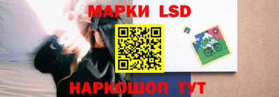 меф Гатчина
