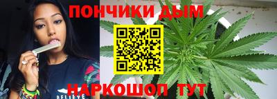 меф Гатчина