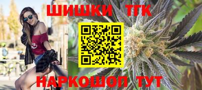 индика Гусиноозёрск