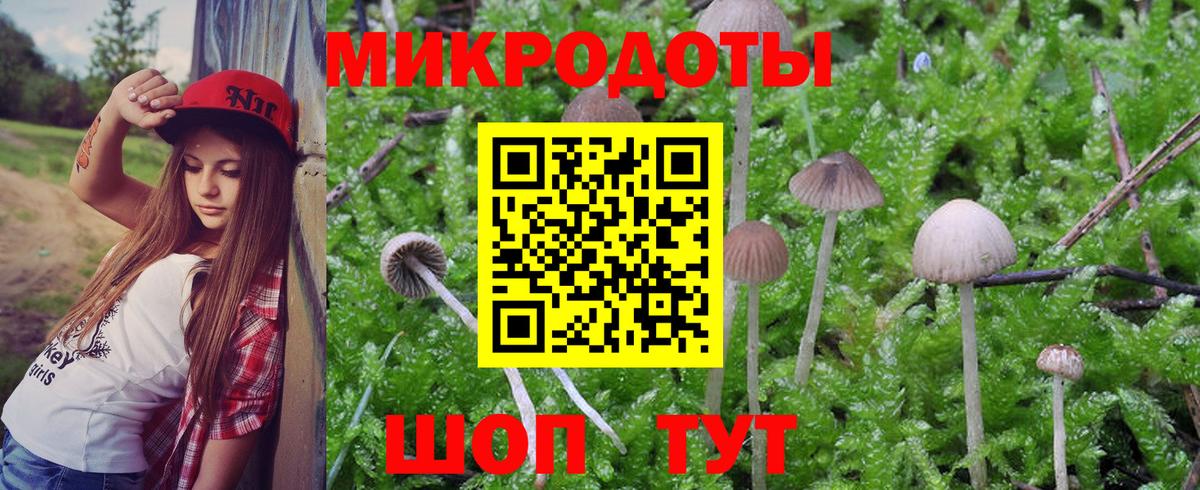 Галлюциногенные грибы Magic Shrooms Новороссийск