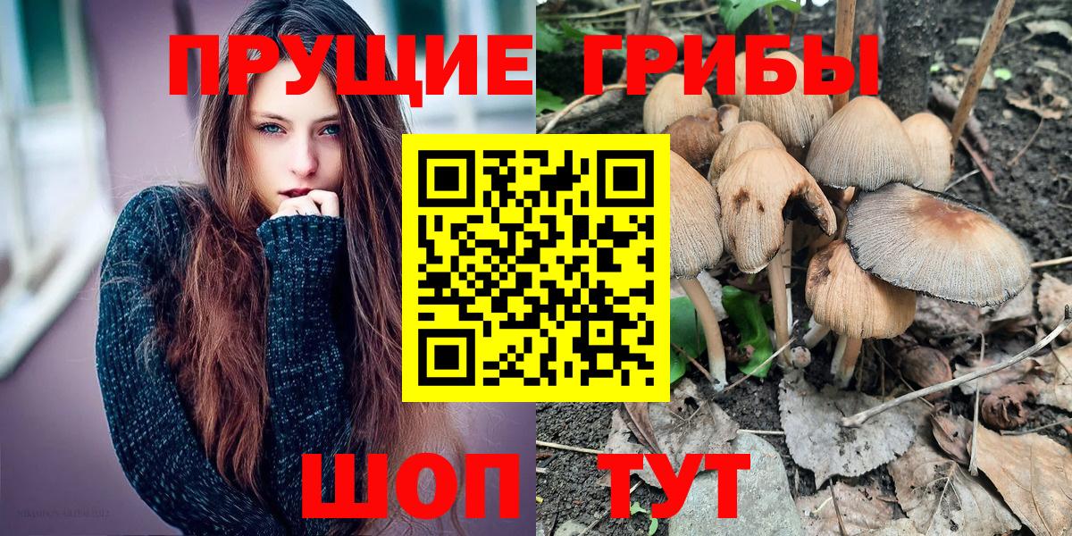 Псилоцибиновые грибы Cubensis  где продают наркотики  Вход с VPN  Новороссийск  Галлюциногенные грибы GOLDEN TEACHER 